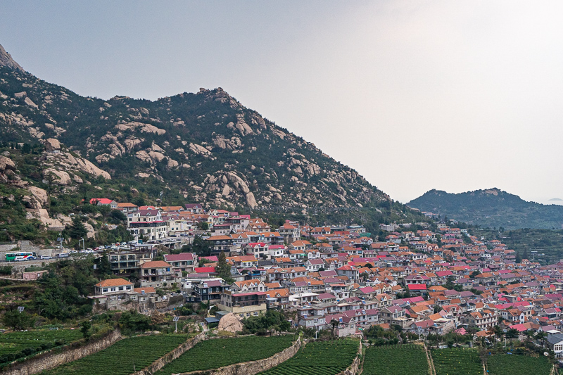 成都的景點導游免費嗎(成都哪些地方導游證免門票)