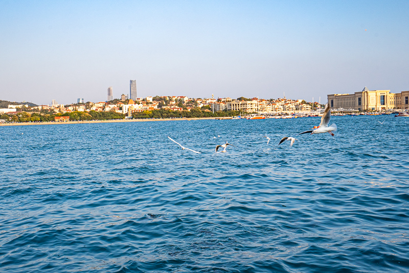 在成都怎么找導(dǎo)游工作呢(成都私人導(dǎo)游怎么找)