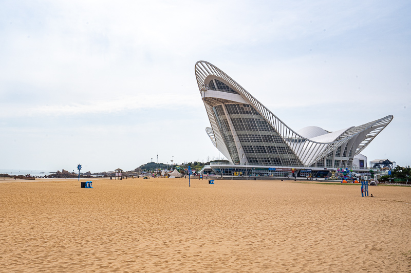 成都高新導游(成都口碑最好的私人導游)