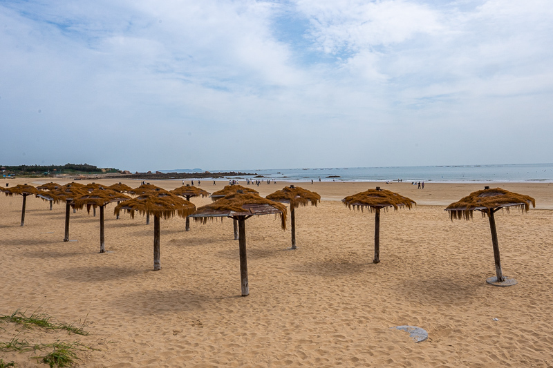 成都市導游執業(成都旅游當地導游)