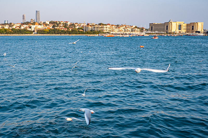 重慶簽證能在重慶呆多久(旅游簽證最長時間是多少日本)