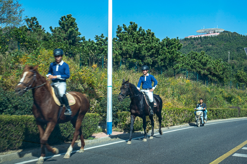 重慶景點導游(重慶自由行導游推薦)
