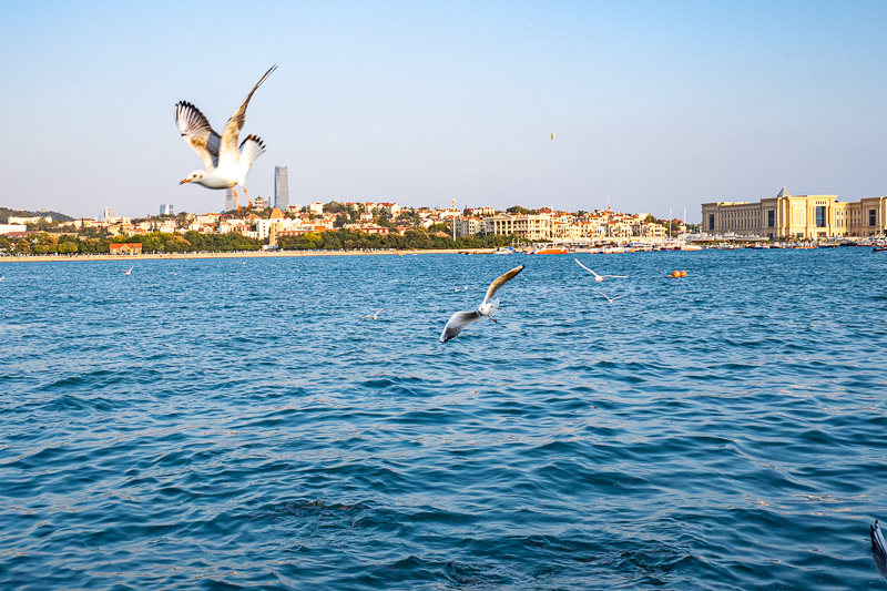 重慶私人導(dǎo)游住宿推薦(重慶私人導(dǎo)游聯(lián)系方式)