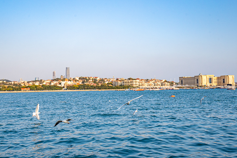重慶導游讓買中藥怎么買(去重慶怎么找導游) 重慶導游讓買中藥怎么買(去重慶怎么找導游)