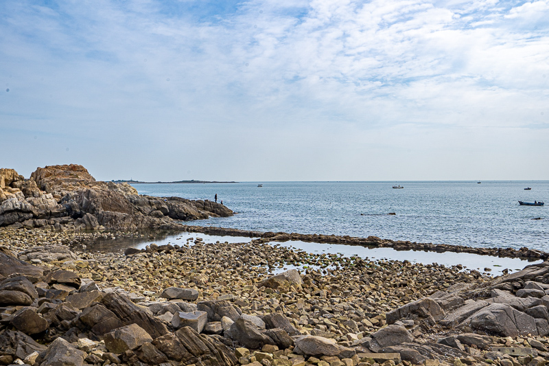 重慶導游女網紅(重慶導游女網紅是誰)