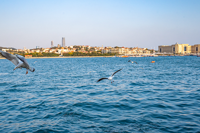 重慶導(dǎo)游推薦攻略必吃的美食(重慶當(dāng)?shù)貙?dǎo)游推薦)