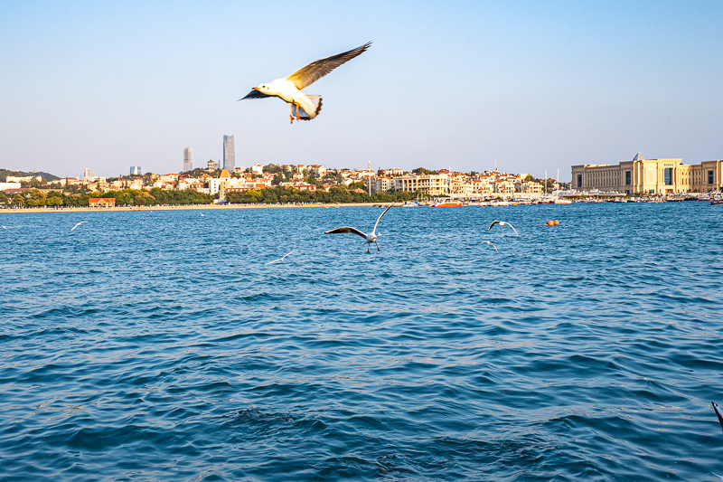 重慶導游就業(yè)渠道有哪些(如何在重慶請導游)