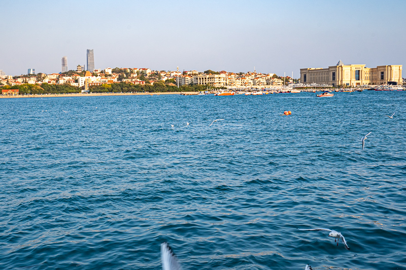 重慶導游幫拍照(找重慶導游)