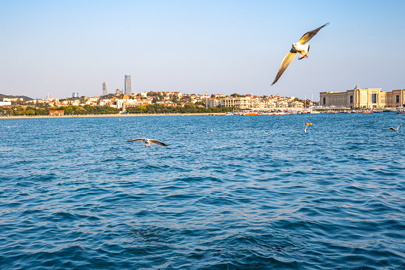 重慶導游服務公司排名(重慶導游服務公司排名第一) 重慶導游服務公司排名(重慶導游服務公司排名第一)