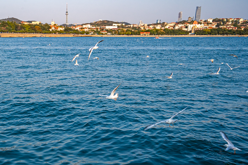 重慶導游在山東的發(fā)展前景(重慶導游在山東的發(fā)展前景怎么樣)