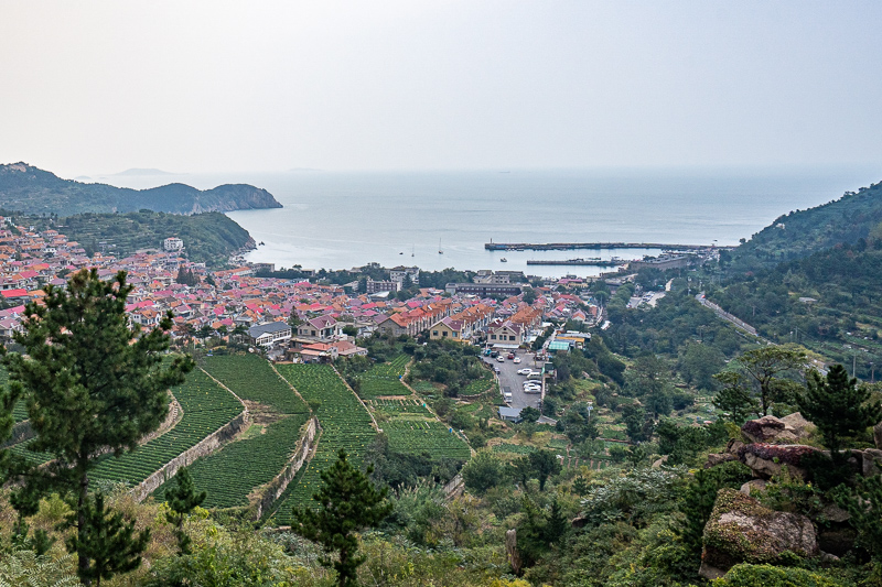 重慶導游報名信息確認表(重慶私人導游)