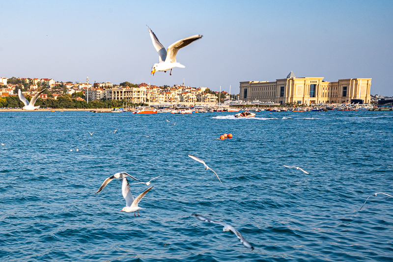 在重慶的導(dǎo)游直播平臺(在重慶的導(dǎo)游直播平臺叫什么)