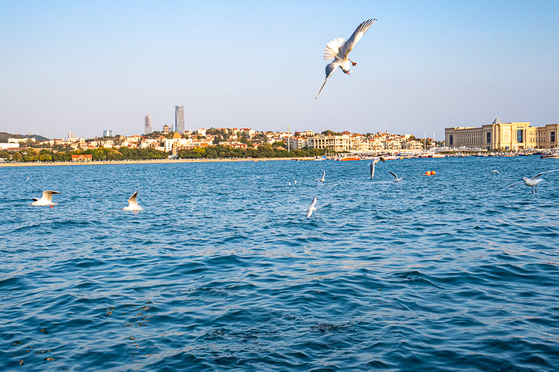 帶領導游去桂林旅游(帶領導游去桂林旅游好嗎)
