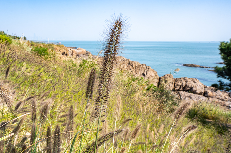 百度上的桂林當(dāng)?shù)貙?dǎo)游微信(桂林當(dāng)?shù)貙?dǎo)游怎么找)