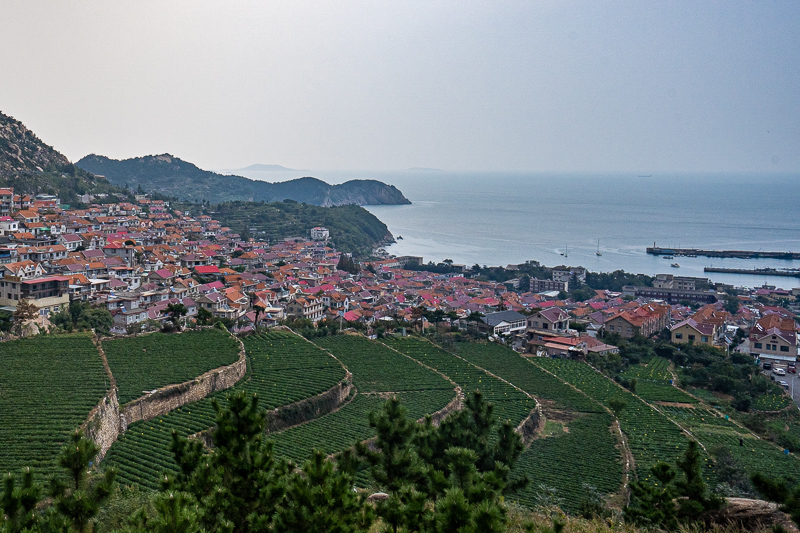 桂林當地導游多少錢一天(在桂林找個導游多少錢一天)