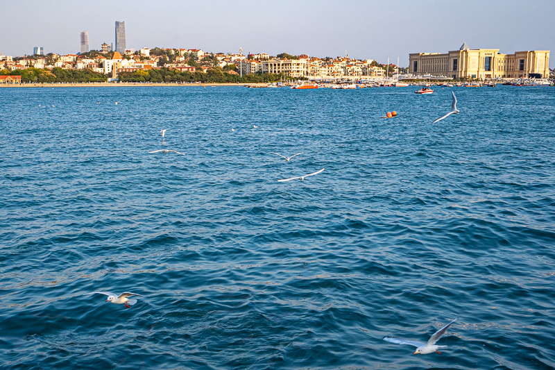 桂林導游可靠嗎(網上的當地導游可信嗎)