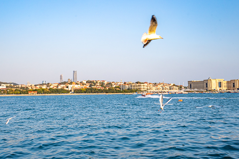 桂林攻略推薦的導(dǎo)游靠譜嗎(桂林本地導(dǎo)游推薦)