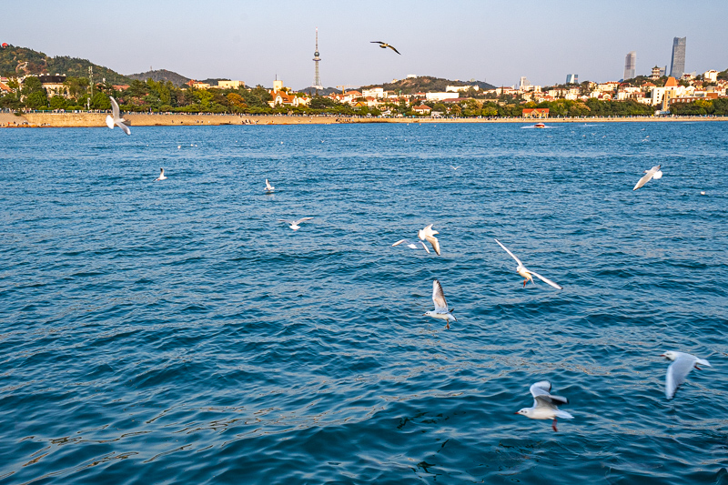 桂林好玩的導(dǎo)游(桂林自由行導(dǎo)游推薦)