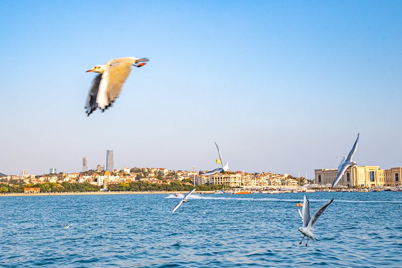 桂林導游一天花多少錢人民幣(在桂林找個導游多少錢一天)