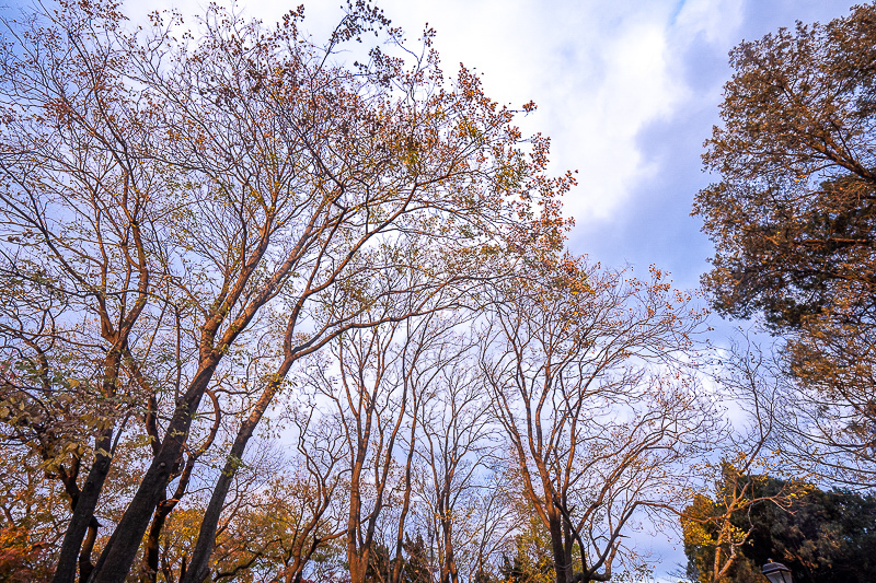 揚州的旅游景點 揚州二日游最佳安排