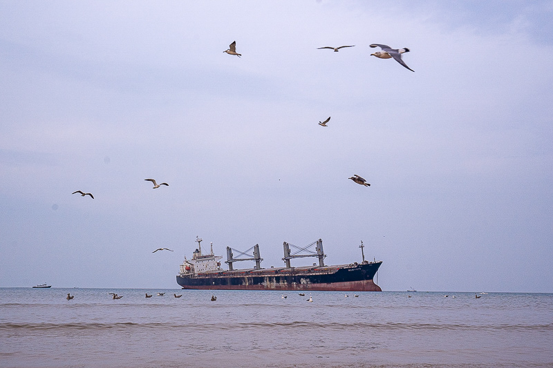 如何介紹威海(導(dǎo)游詞模板)