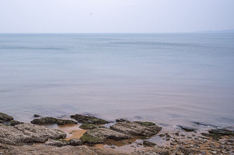 煙臺西站到威海時間表(煙臺至蓬萊機場大巴時刻表)