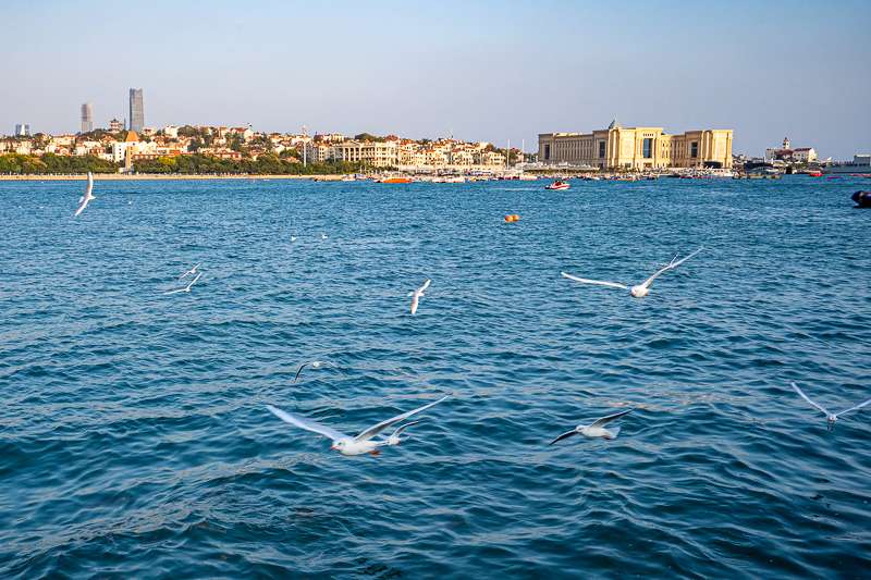 廈門風景視頻？關于廈門的議論文素材