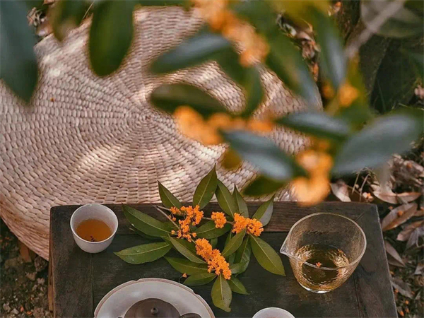 廈門(mén)到南靖土樓包車(chē)電話(huà) 廈門(mén)租車(chē)去永定土樓合適嗎