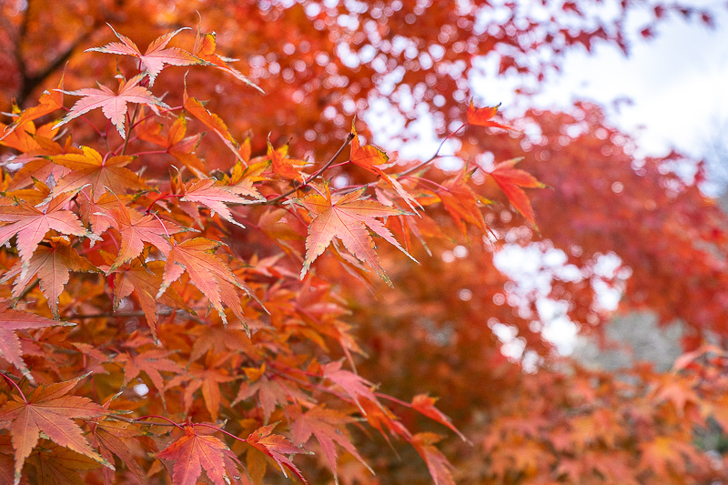 廈門到漳州土樓多少路費(fèi)(廈門南靖土樓)