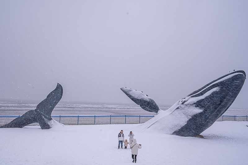 陜西導游(西安地方導游工作推薦)
