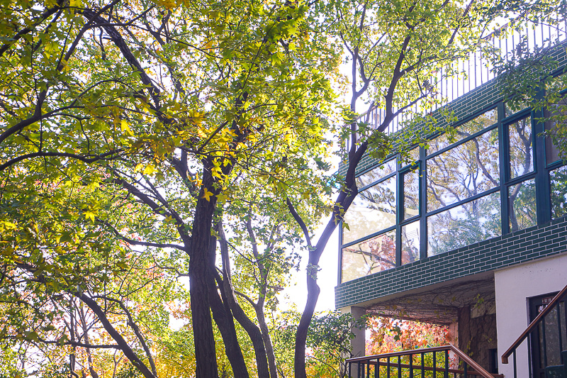 西安私人導(dǎo)游哪里找 西安旅游兩人導(dǎo)游