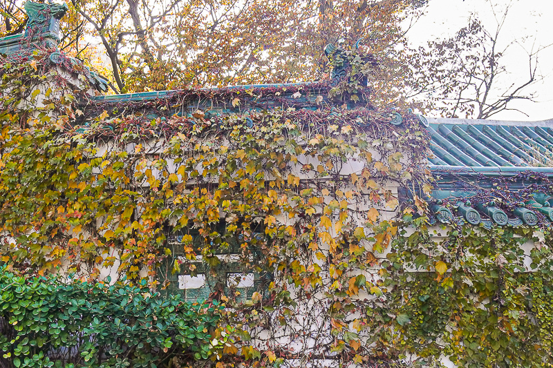 西安旅游公司電話(電子導游機)