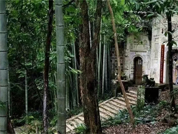 西安導游記者(西安導游記者招聘網)