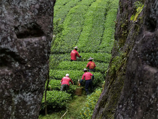 西安導游費用一般多少錢一天,西安導游一天多少錢 西安導游費用一般多少錢一天,西安導游一天多少錢