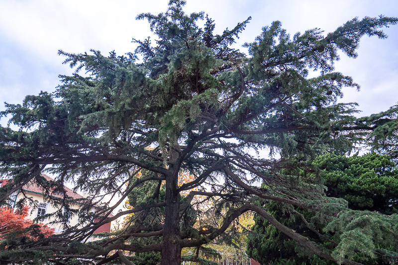 兵馬俑免門票3個月內(2023秦始皇兵馬俑門票價格+優惠政策+注意事項)