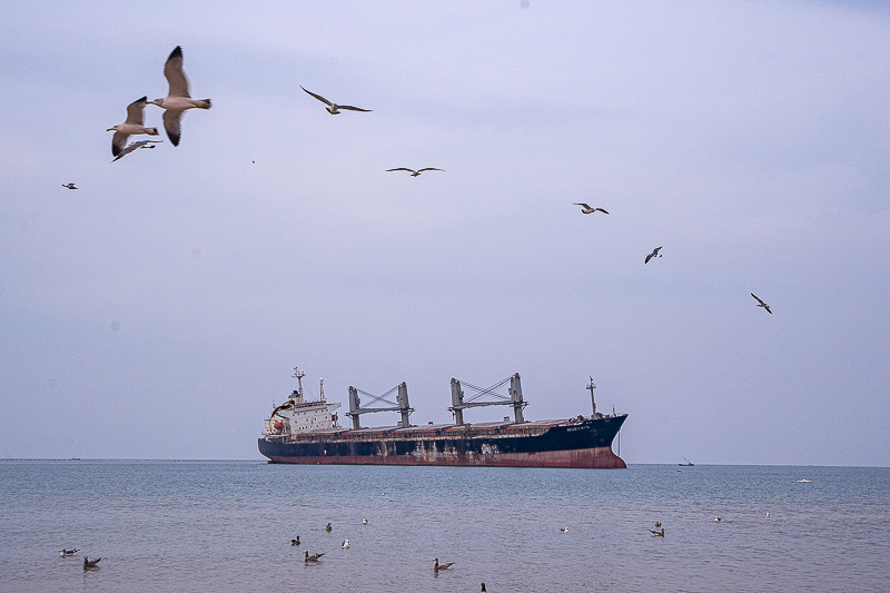 兵馬俑門票成人(兵馬俑門票120包含哪些景點)