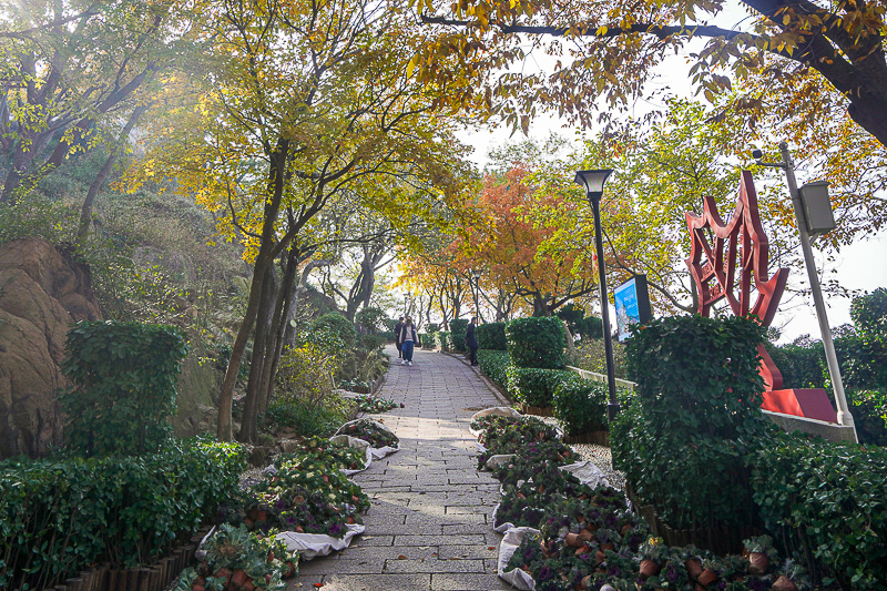 兵馬俑門票是免費的嗎多少錢(秦始皇兵馬俑博物館門票多少錢一張) 兵馬俑門票是免費的嗎多少錢(秦始皇兵馬俑博物館門票多少錢一張)