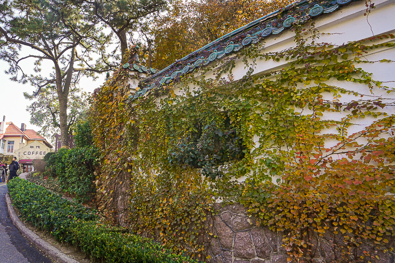 青島旅游項目補貼,青島旅游項目補貼多少錢 青島旅游項目補貼,青島旅游項目補貼多少錢