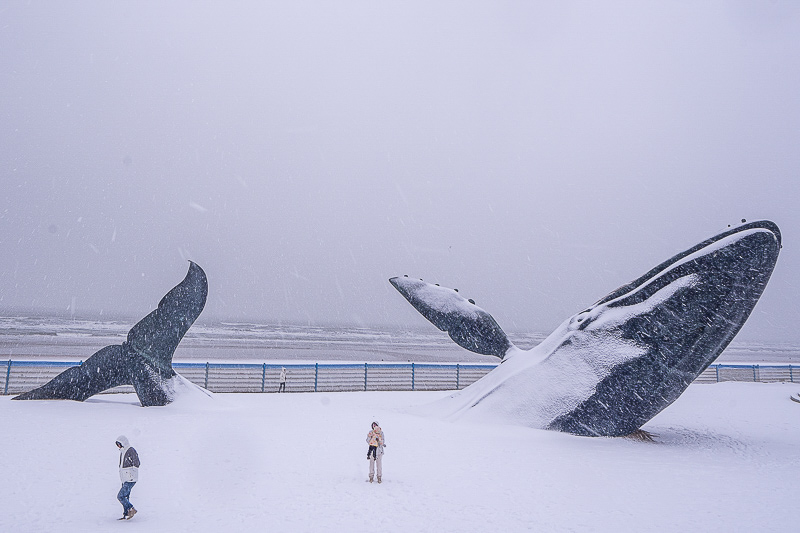 青島三天旅游詳解(青島三天旅游詳解攻略)